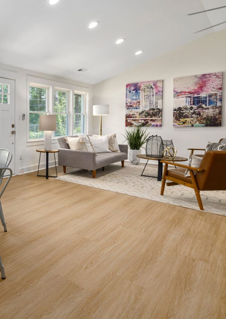 Clean House (Living Room)