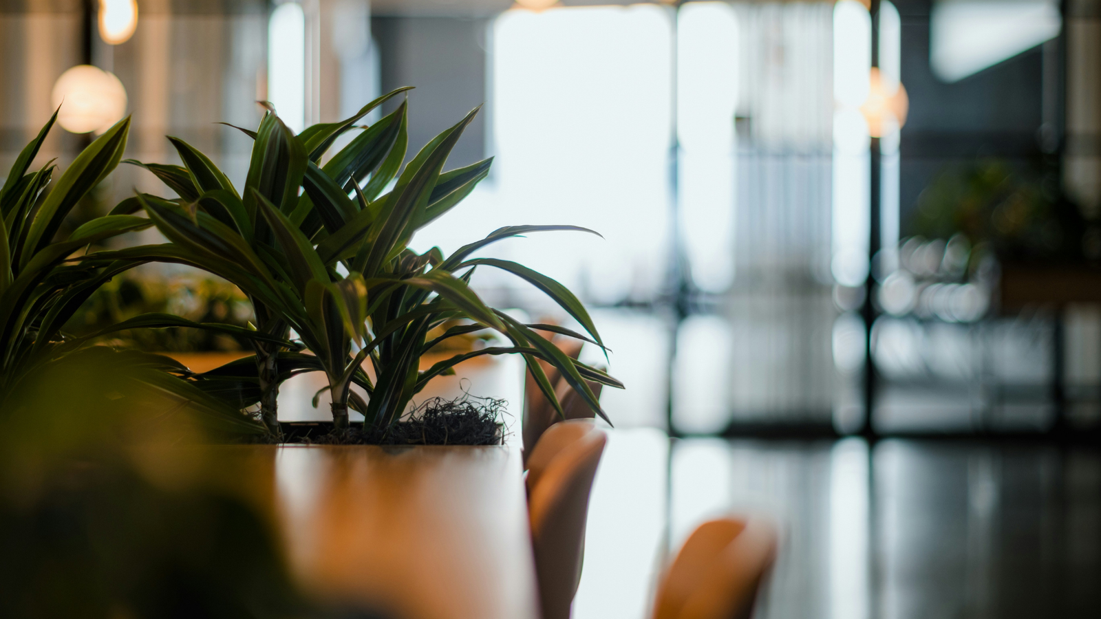 Clean and functional office workspace