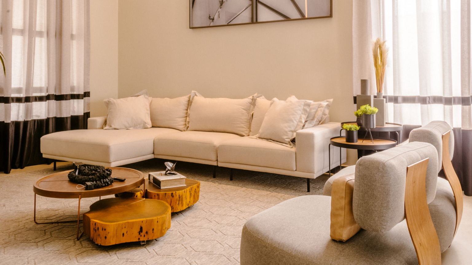 Home living room, organized and cleaned