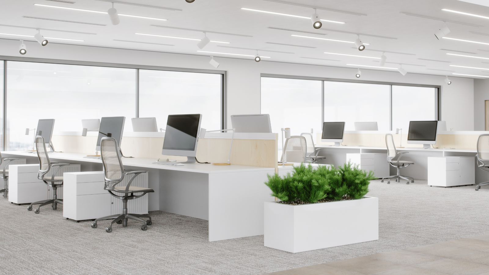 Commercial working space after a professional cleaning done by Lux Professional Cleaning