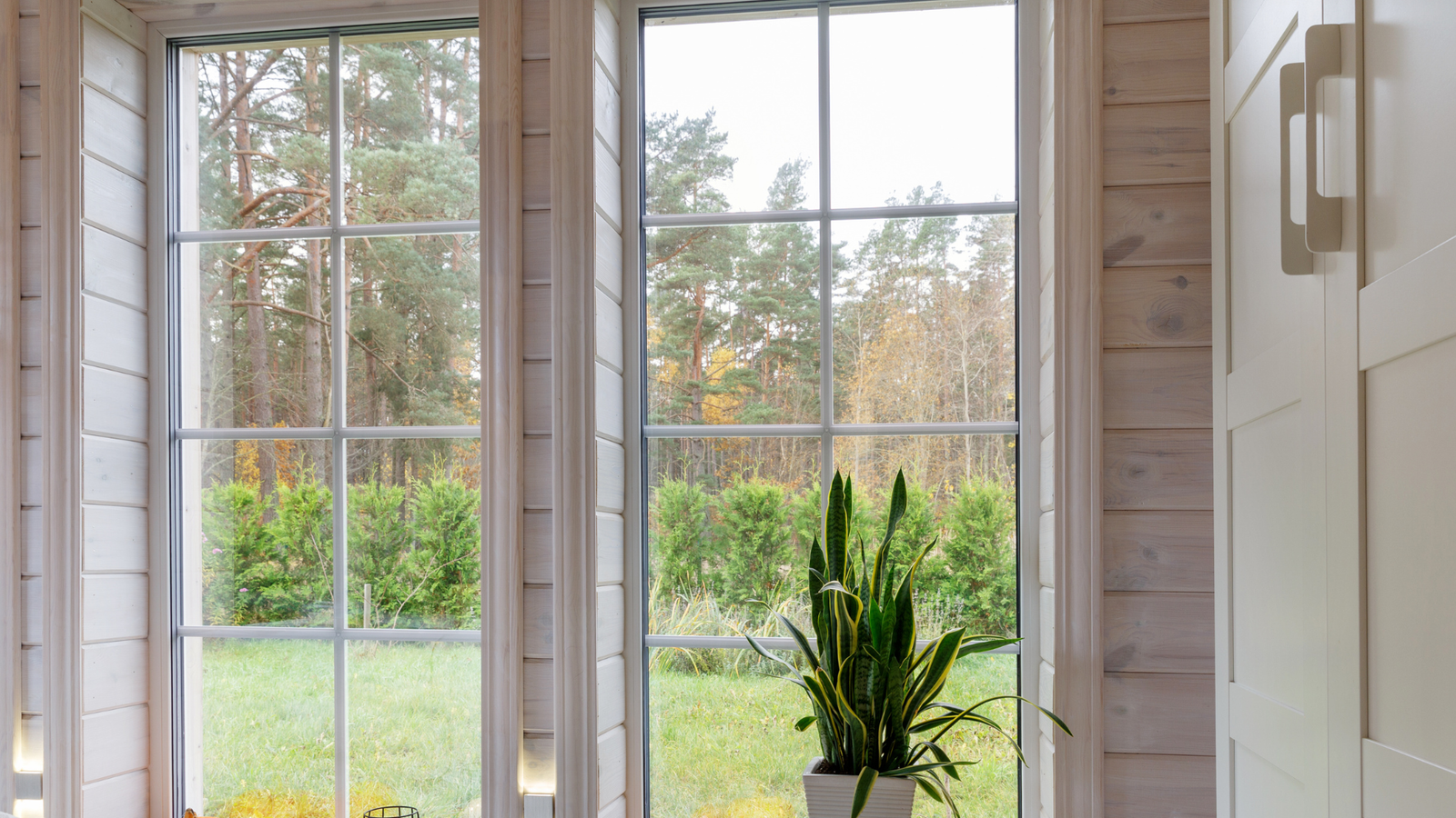 window after a detailed cleaning